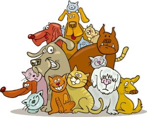 pet fire safety, pet emergency evacuation, pet emergency preparedness, fire safety tips, pet fire safety tips, home fire safety, pet emergency plan, pet evacuation plan, fire safety for pets, don't forget your pets, new york fire, new york firefighters, ny firefighters, ny fire, new york fire department
