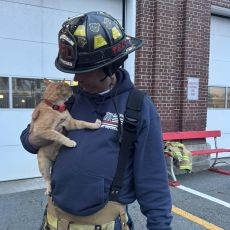 photo by Middletown Fire Department