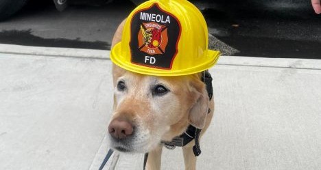 photo by Mineola VFD