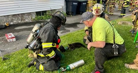 photo by Oneonta Fire Department
