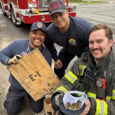 photo by Rochester Fire Department